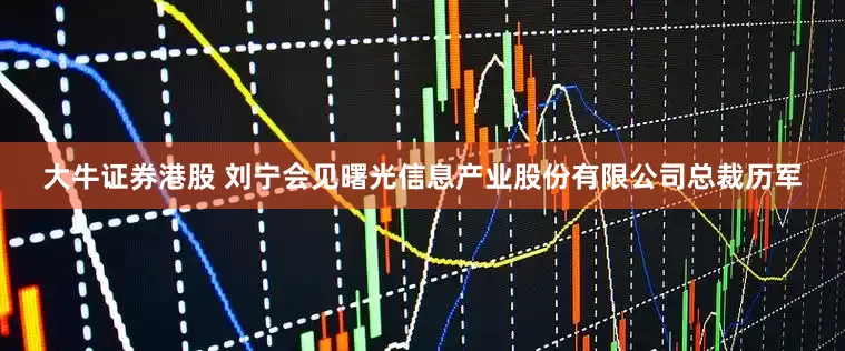 大牛证券港股 刘宁会见曙光信息产业股份有限公司总裁历军