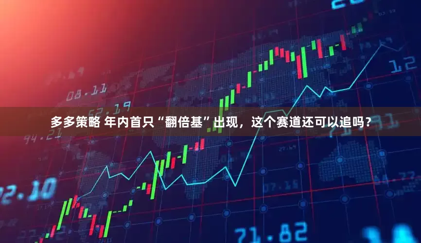 多多策略 年内首只“翻倍基”出现，这个赛道还可以追吗？