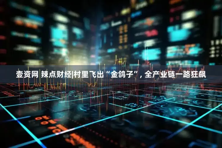 壹资网 辣点财经|村里飞出“金鸽子”, 全产业链一路狂飙
