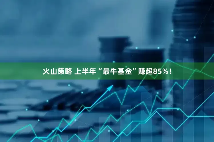 火山策略 上半年“最牛基金”赚超85%！