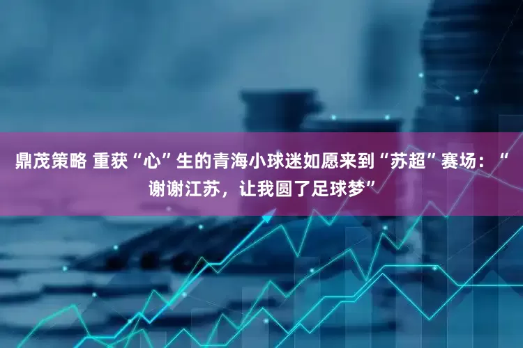 鼎茂策略 重获“心”生的青海小球迷如愿来到“苏超”赛场：“谢谢江苏，让我圆了足球梦”