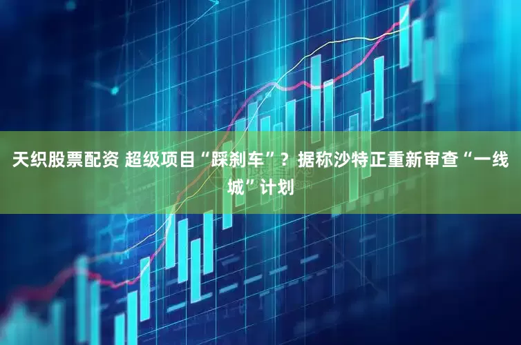 天织股票配资 超级项目“踩刹车”？据称沙特正重新审查“一线城”计划