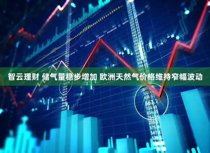 智云理财 储气量稳步增加 欧洲天然气价格维持窄幅波动