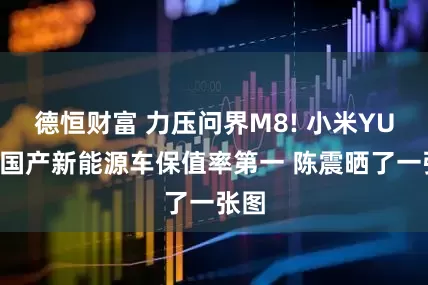德恒财富 力压问界M8! 小米YU7成国产新能源车保值率第一 陈震晒了一张图