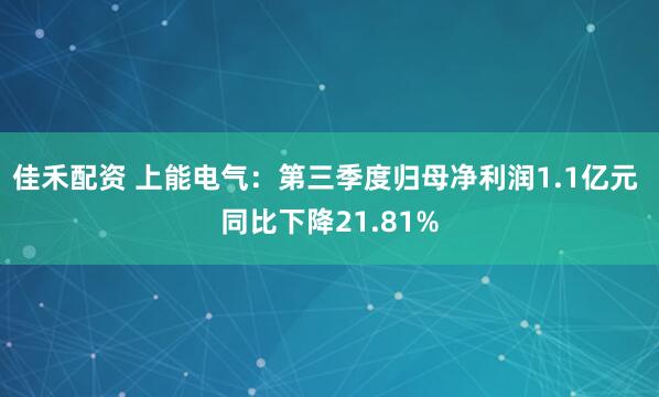 佳禾配资 上能电气:第三季度归母净利润1.1亿元 同比下降21.81%