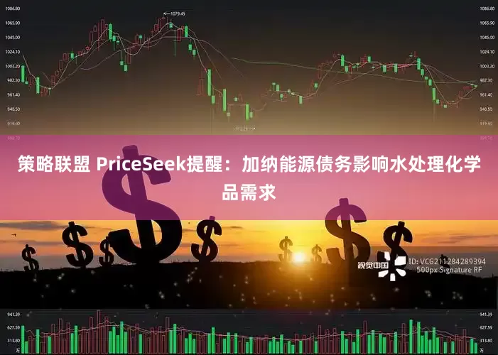 策略联盟 PriceSeek提醒：加纳能源债务影响水处理化学品需求