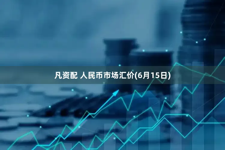 凡资配 人民币市场汇价(6月15日)